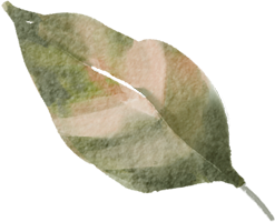 gr leaf 06